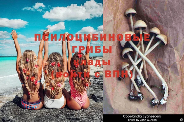 гашишное масло Киреевск