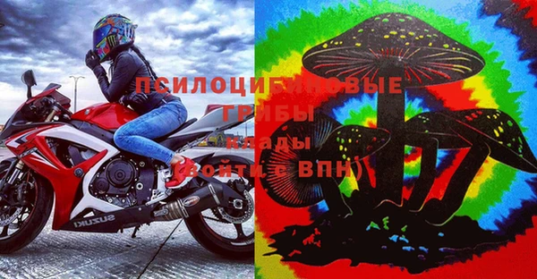 стаф Кинешма