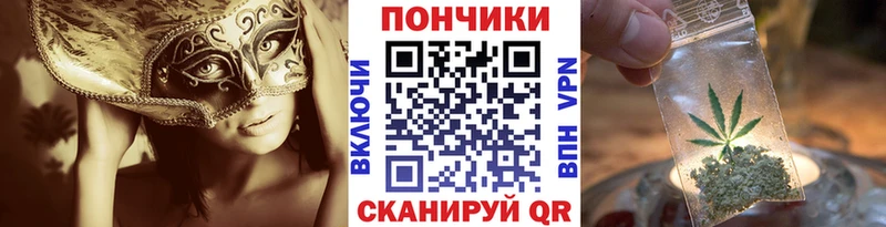 Купить  Старица  Конопля индика 